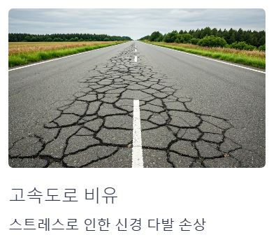 고속도로에 비유한 신경 다발