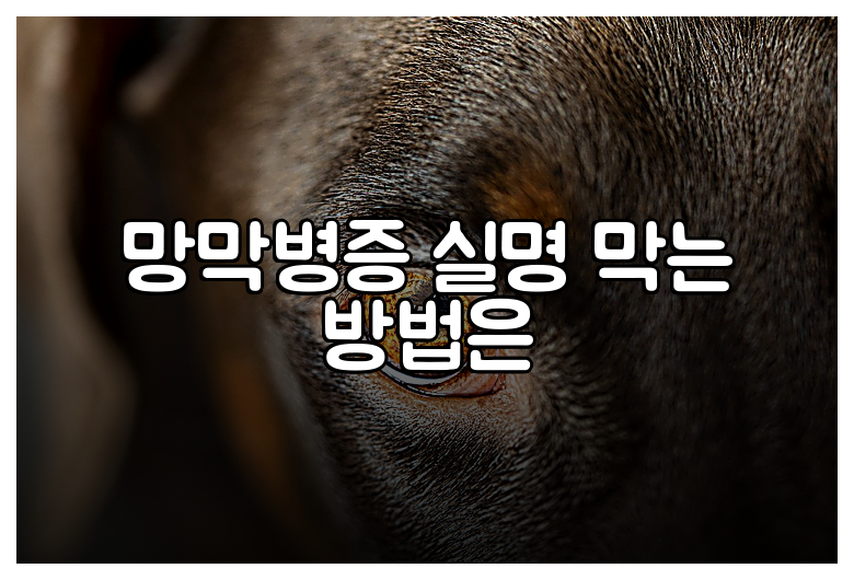 망막병증 실명 막는 방법은