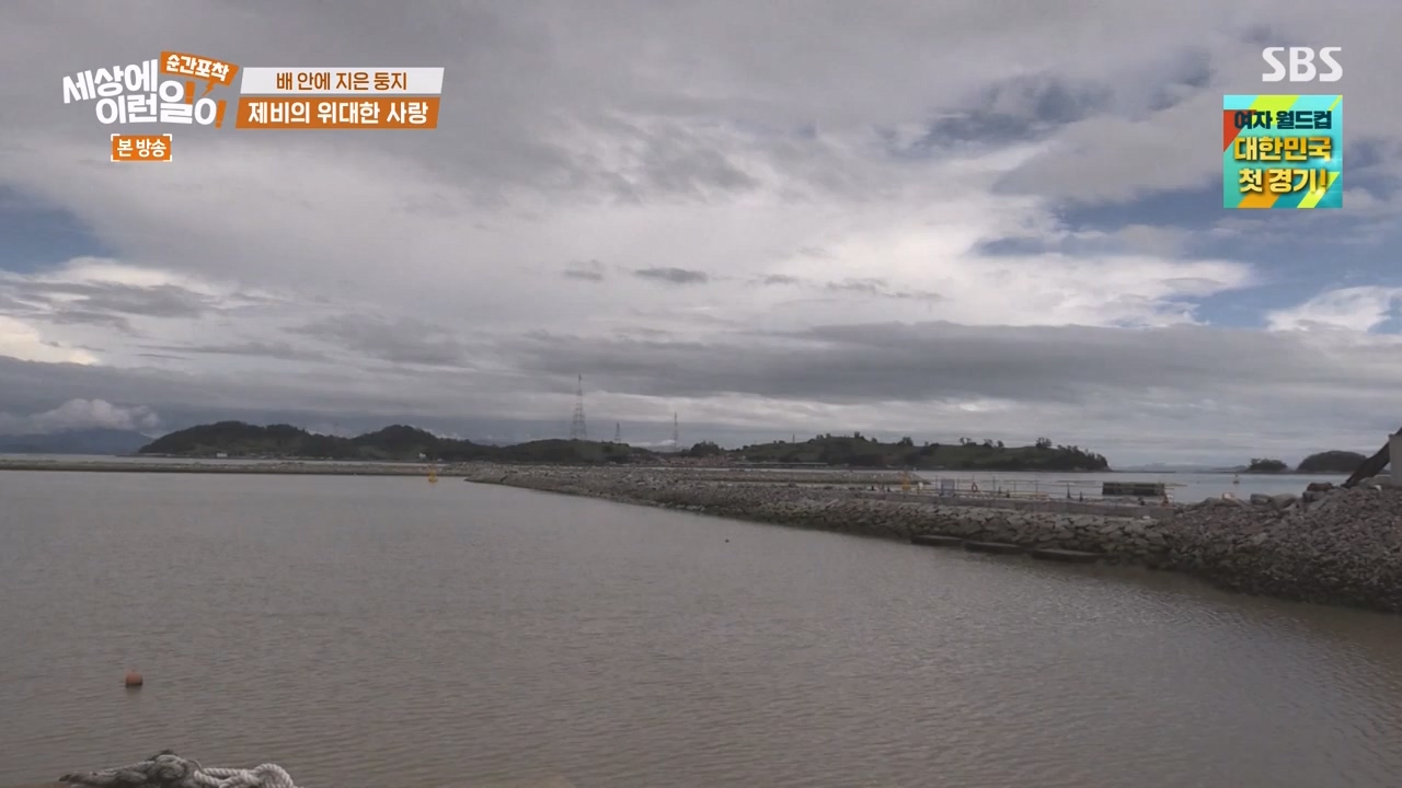 순간포착 세상에 이런일이.E1238.230723p-NEXT.mp4_20230724_205448.084.jpg