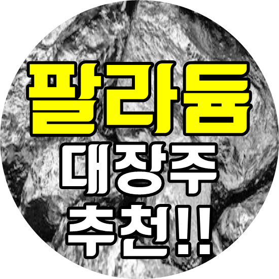  팔라듐 관련주에서 대장주를 추천합니다!