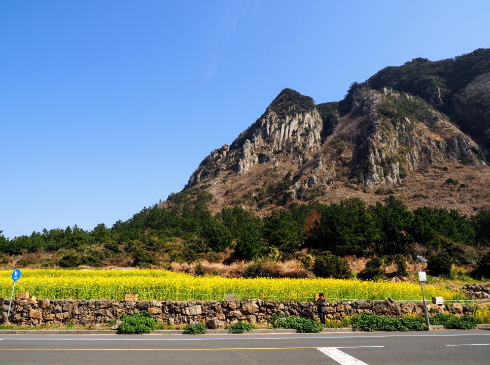 오늘 24도 가볍게 입으세요 2월 제주도 날씨 25