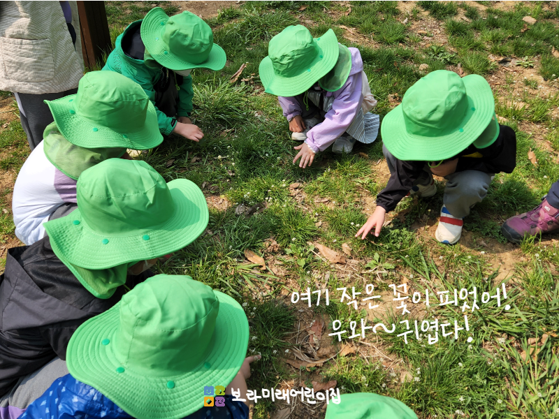 미래숲어린이집 이미지