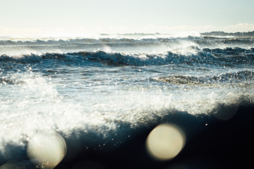 winter sea