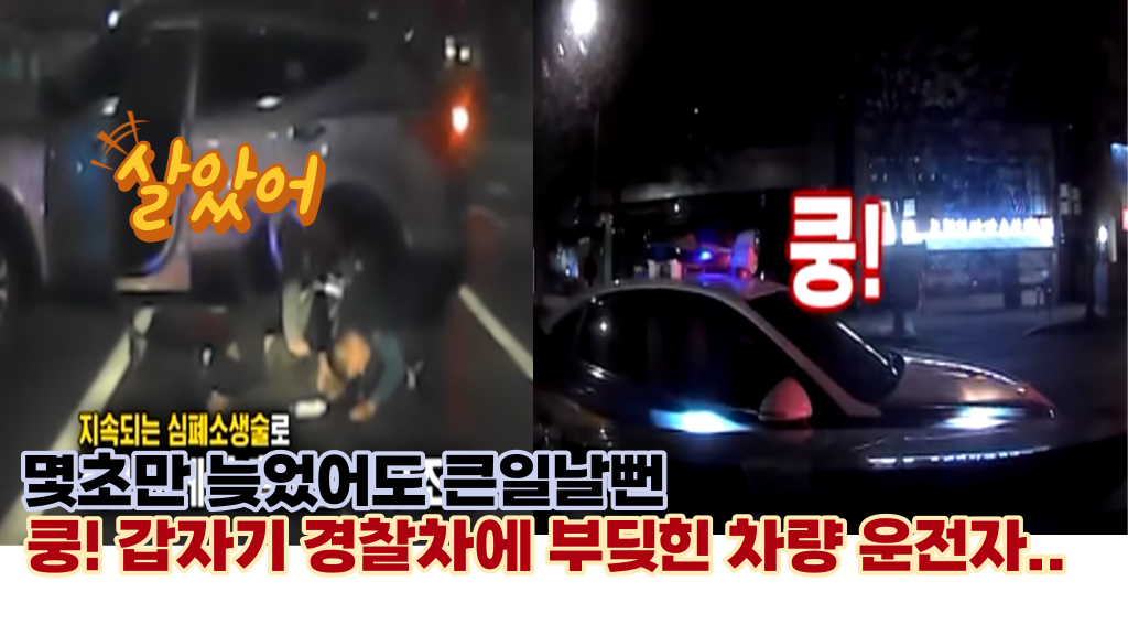  지나가던 순찰차를 들이받는 의문의 차량... 알고보니