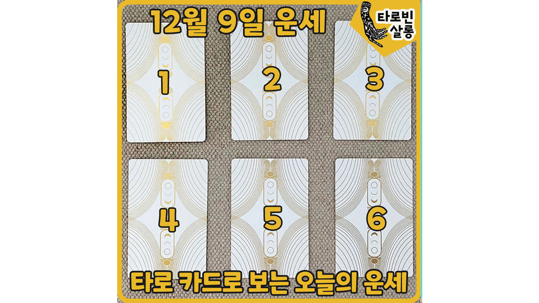  [12월 9일 운세] 타로 카드로 보는 365일 운세