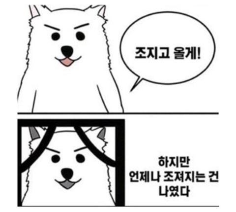 조지고 올게 짤 하지만 언제나 조져지는 건 나였다 jpg