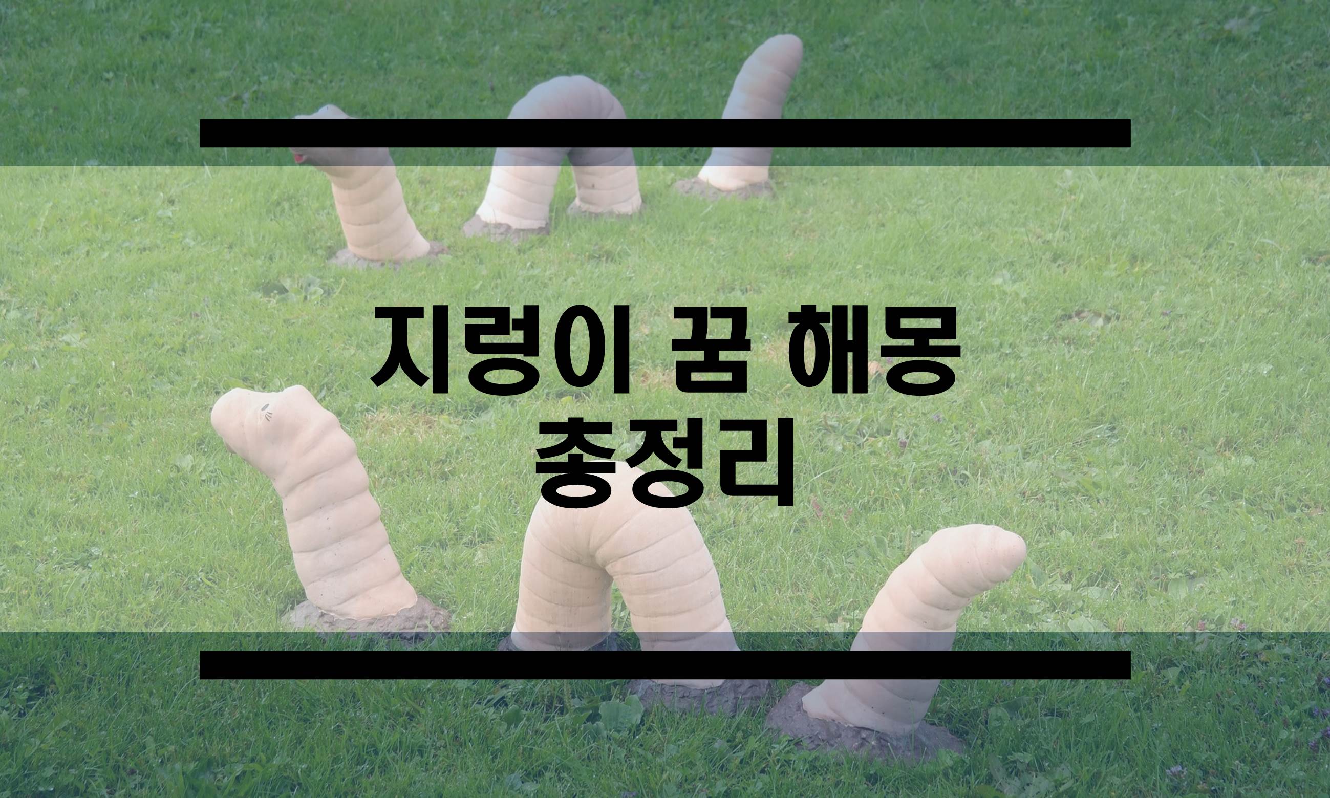  지렁이꿈 해몽 총 정리
