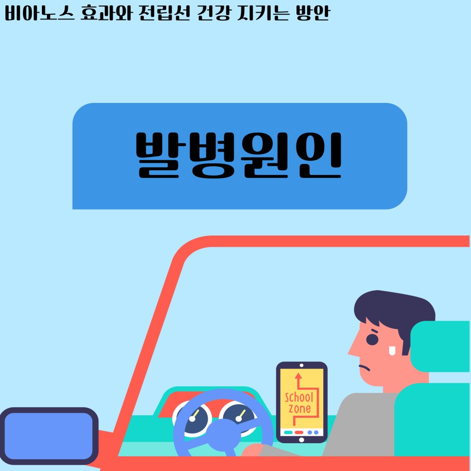건강 지키는 방안 비아노스 효과와 전립선 8