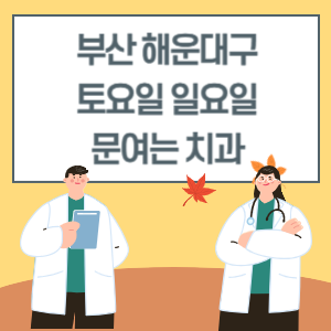 부산 해운대구 토요일 일요일 치과 진료 병원 리스트