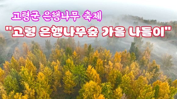다산숲 이미지