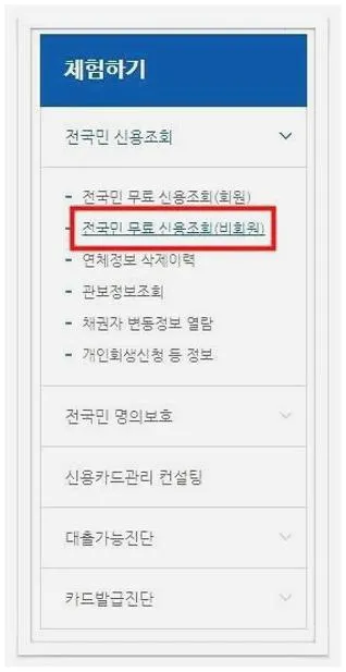 신용불량자 조회