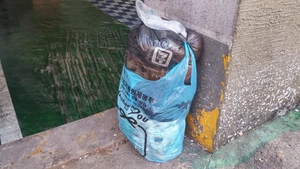 일반 쓰레기 봉투에 음식물 버리면...