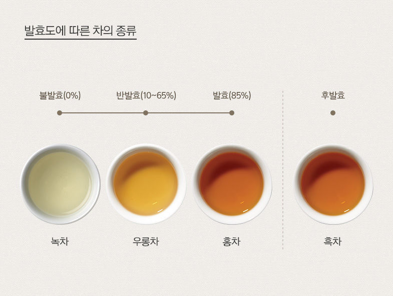 녹차 우롱차 홍차 차이(사진출처=오설록 티 아카데미)