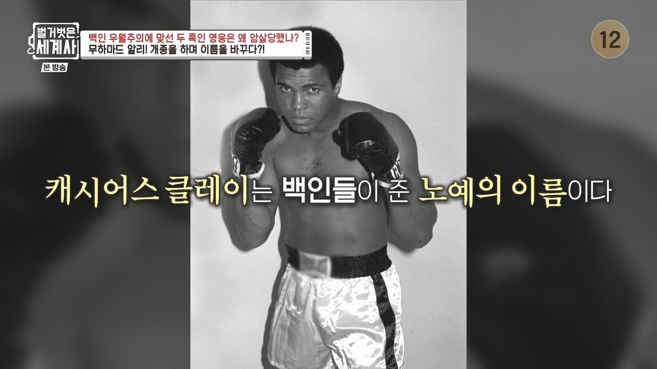 벌거벗은 세계사.E118.230927p-NEXT.mp4_20240507_211743.324.jpg