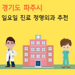 경기도 파주시 일요일 진료 정형외과 추천