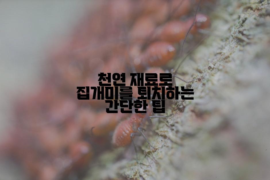 천연 재료로 집개미를 퇴치하는 간단한 팁