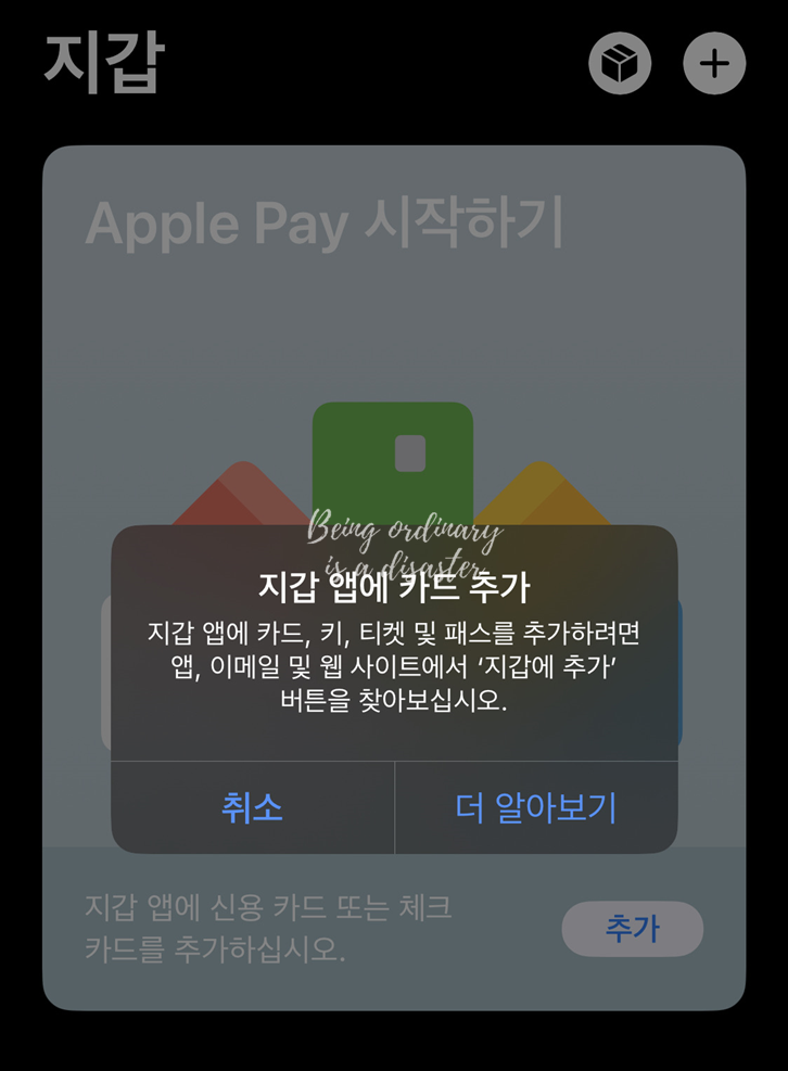 애플 페이-카드 추가 불가