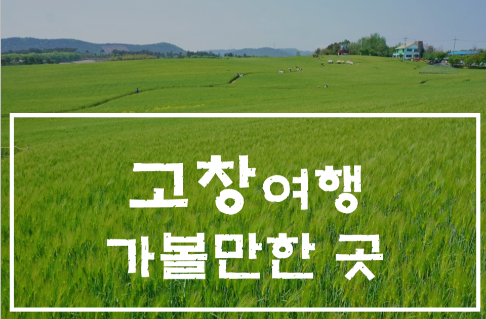  고창 학원농장 갔다가 구시포 해수욕장 앞 서해바다에서 백합칼국수 맛보기