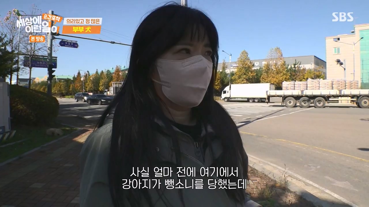 순간포착 세상에 이런일이.E1254.231203p-NEXT.mp4_20231203_140541.563.jpg
