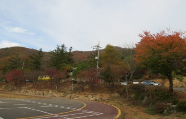 양평 설매재 자연휴양림 예약 방법 완전 정복! 실시간 예약부터 이용 팁까지