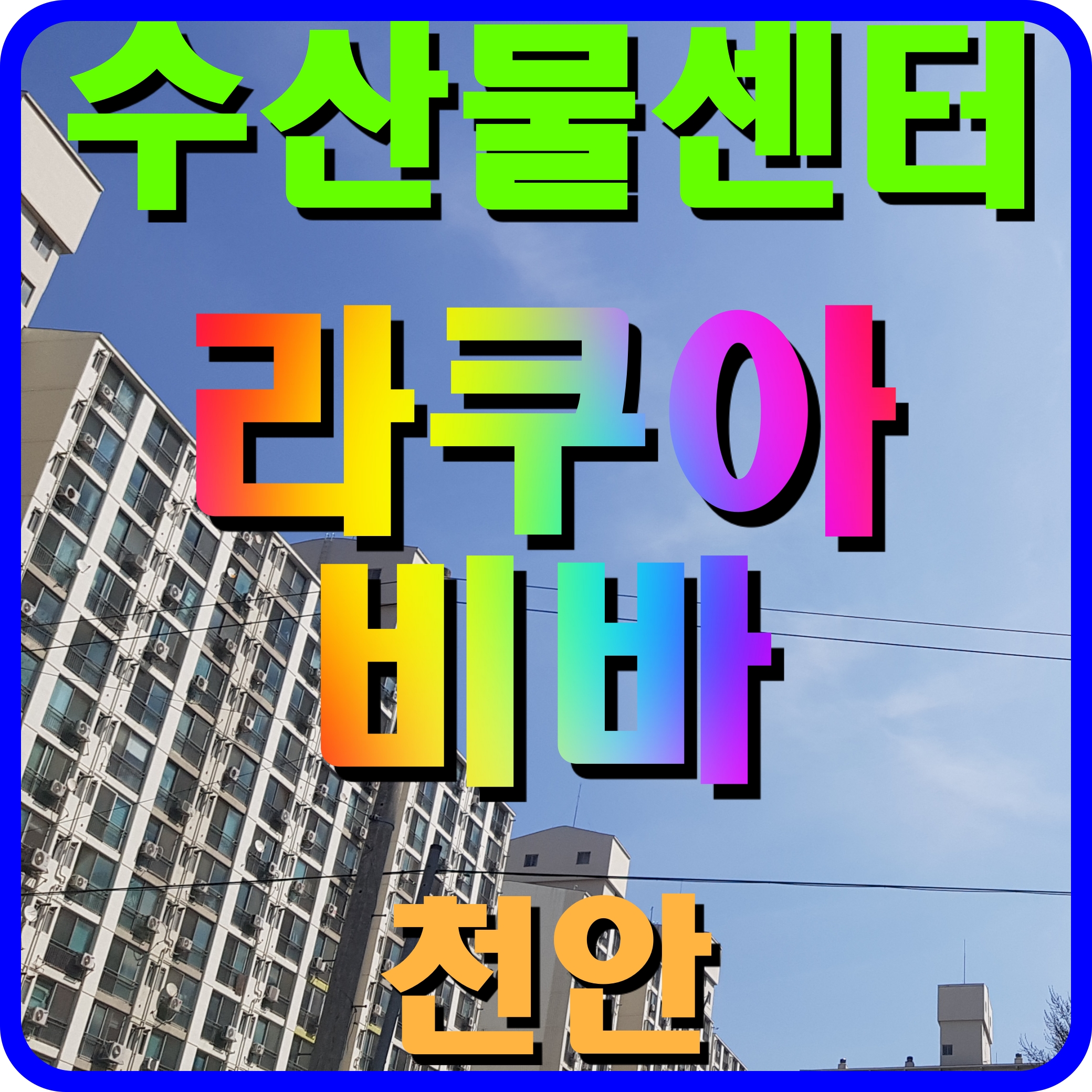  천안 라쿠아비바 수산물 센터 시장 백석동 상가 소식