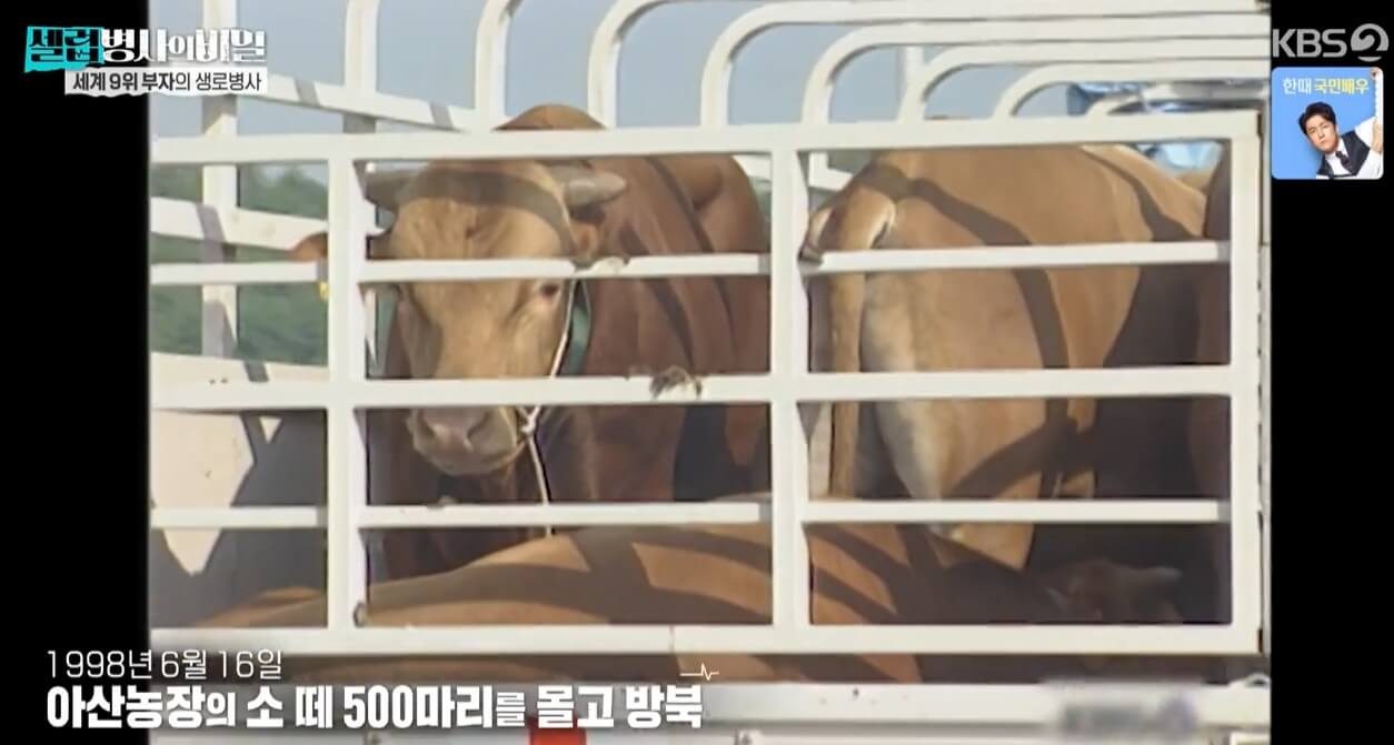 소떼