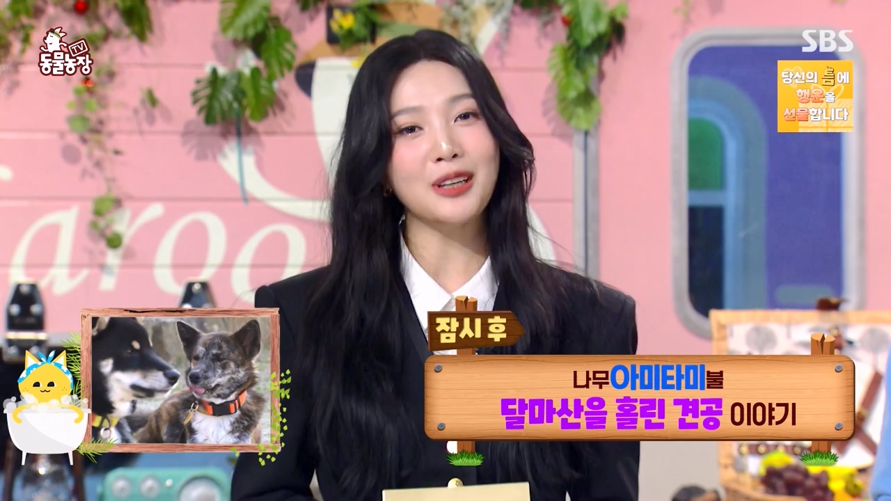 TV 동물농장.E1168.240422p-NEXT.mp4_20240421_170930.239.jpg