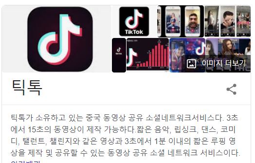  틱톡 The Next SNS