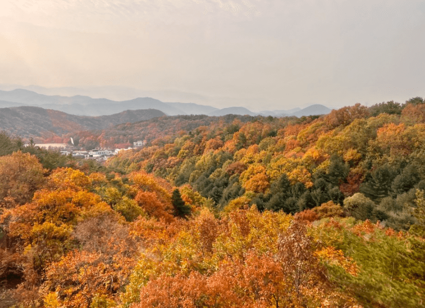 대구 단풍명소 팔공산 케이블카