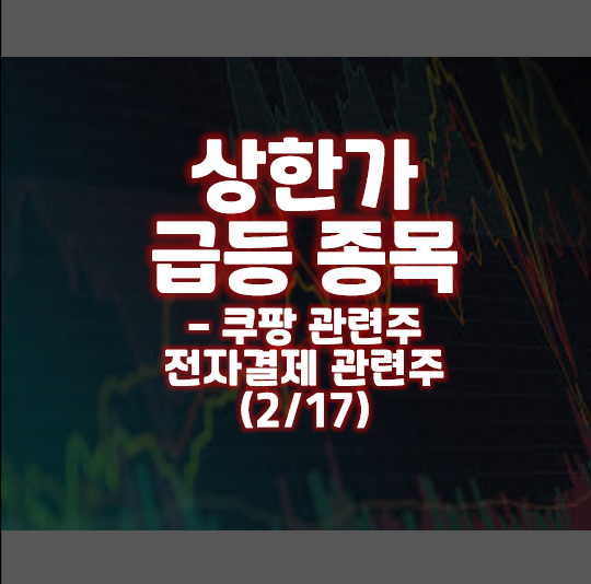  상한가 급등 종목 - 쿠팡 관련주 전자결제 관련주(2/17)