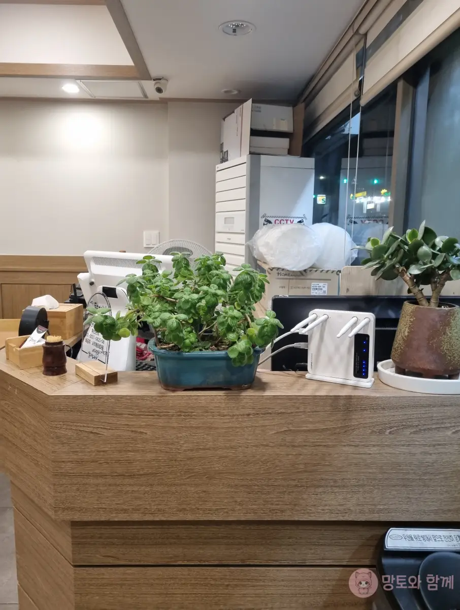 카운터