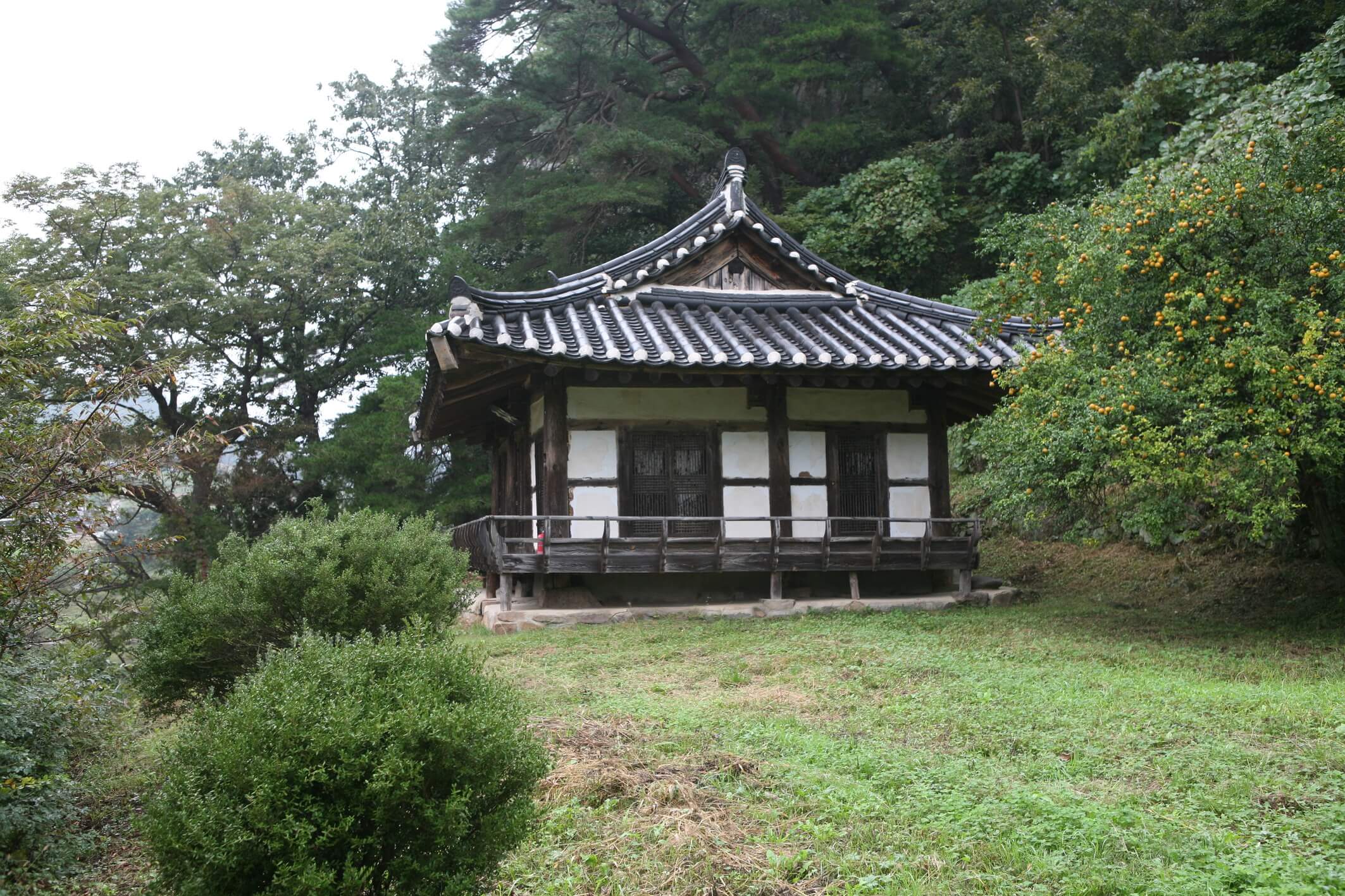 고산정