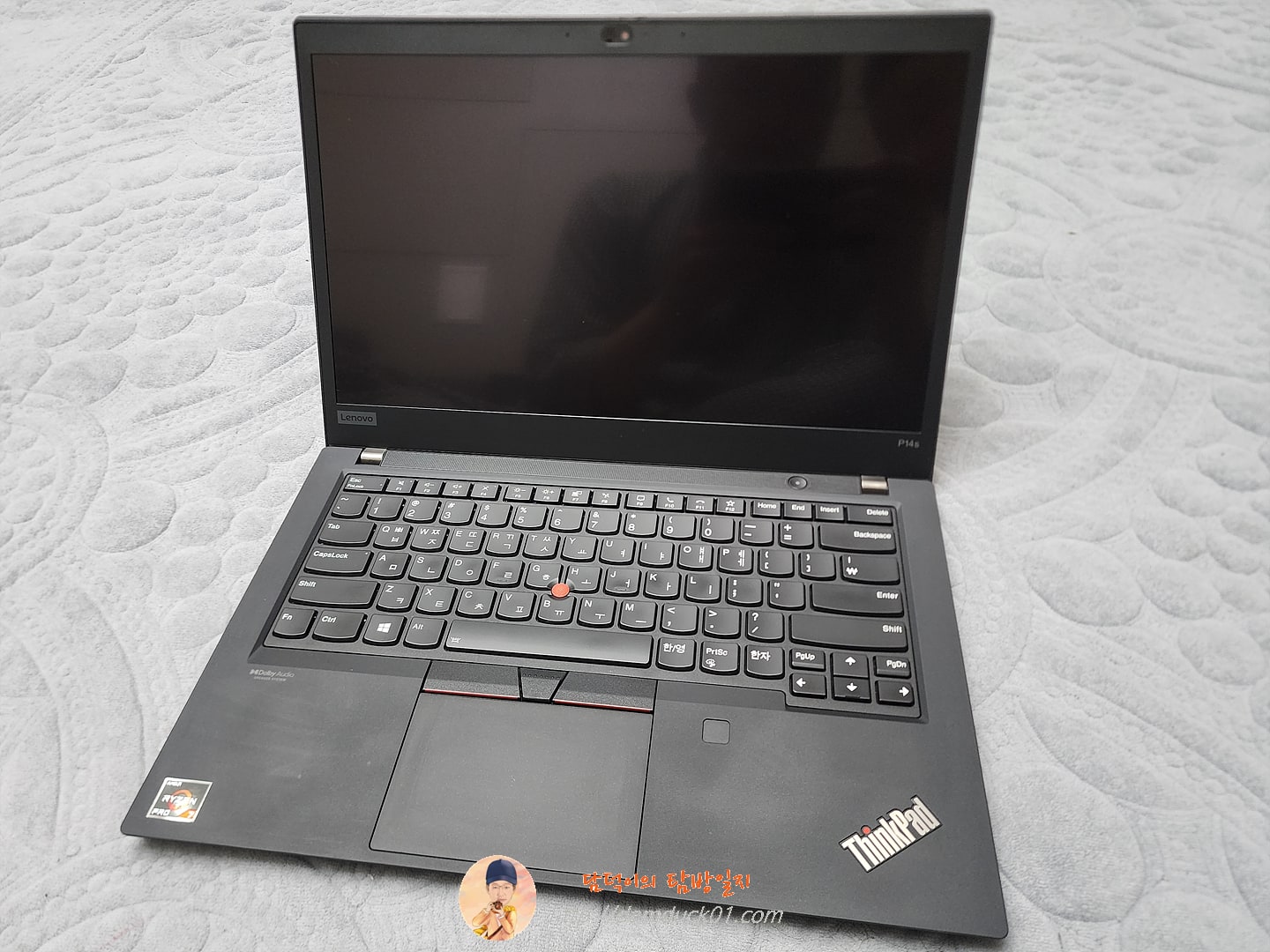 씽크패드(ThinkPad) P14s