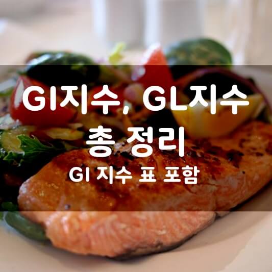 먹음직스러운 연어 샐러드 위에 GI지수&#44; GL지수 총 정리라고 쓰여져 있다.