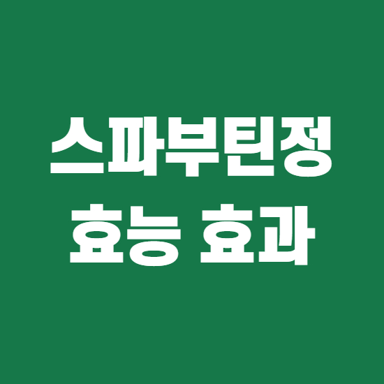  스파부틴정 성분, 효능, 효과 알고 씁시다