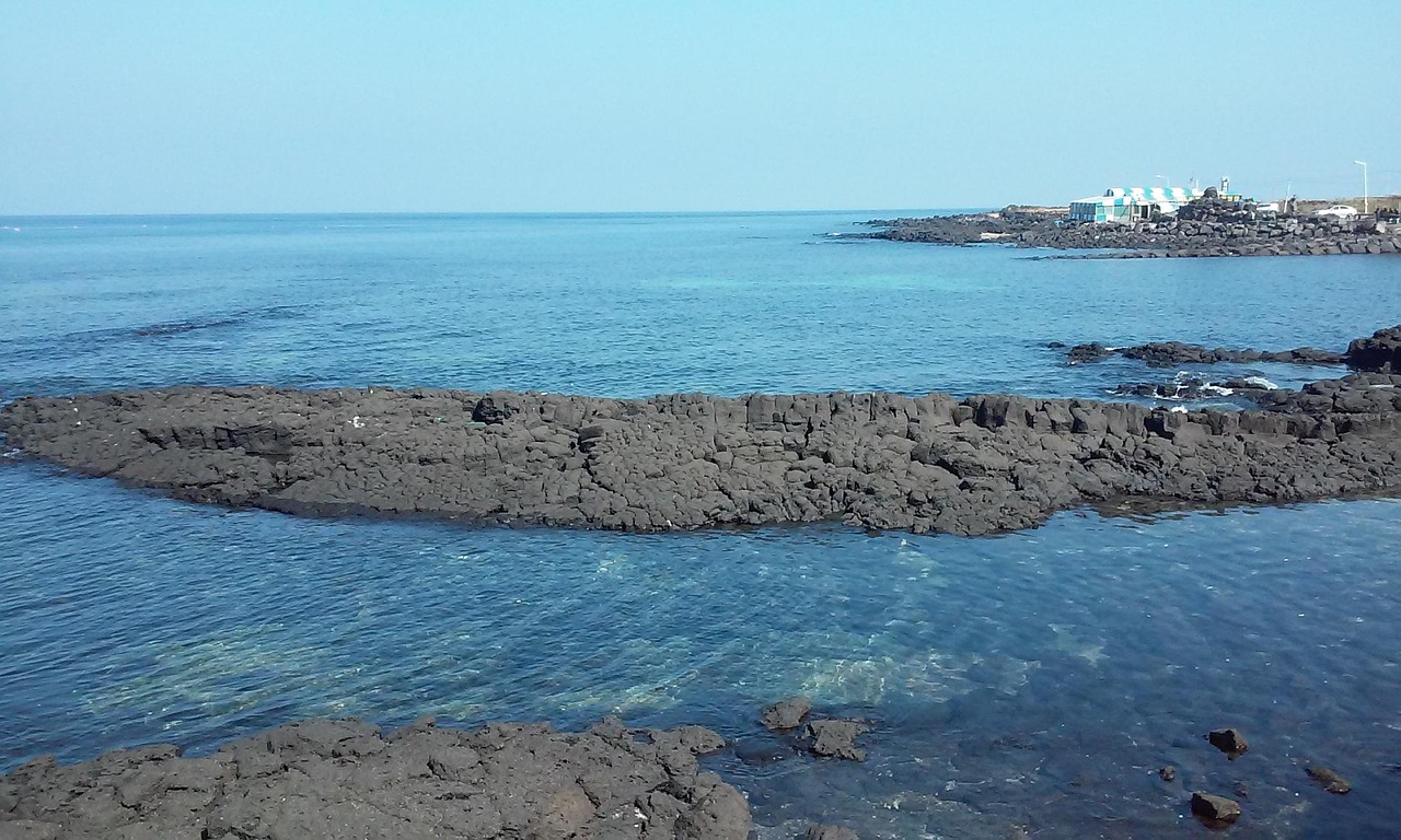 제주도 관련 사진