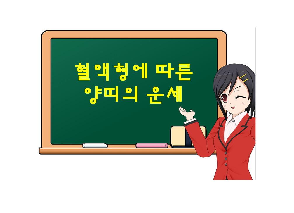  양띠, 혈액형에 따른 운세가 궁금하다면?