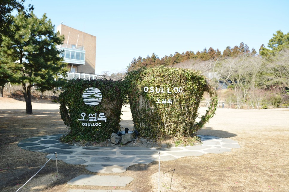 녹차의모든 것! 26