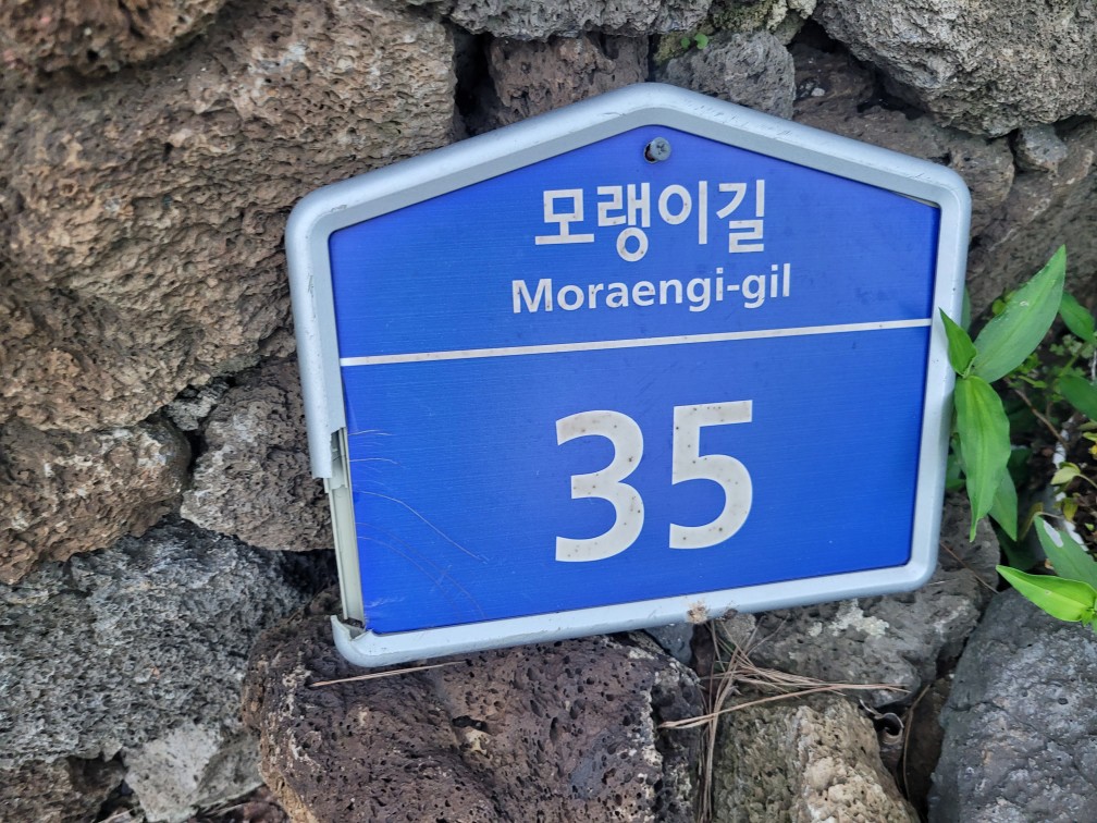 창녕 맛집 추천: 바당돌담
