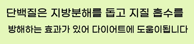  단백질은 지방분해를 돕고 지질 흡수를 방해하는 효과가 있어 다이어트에 도움이됩니다