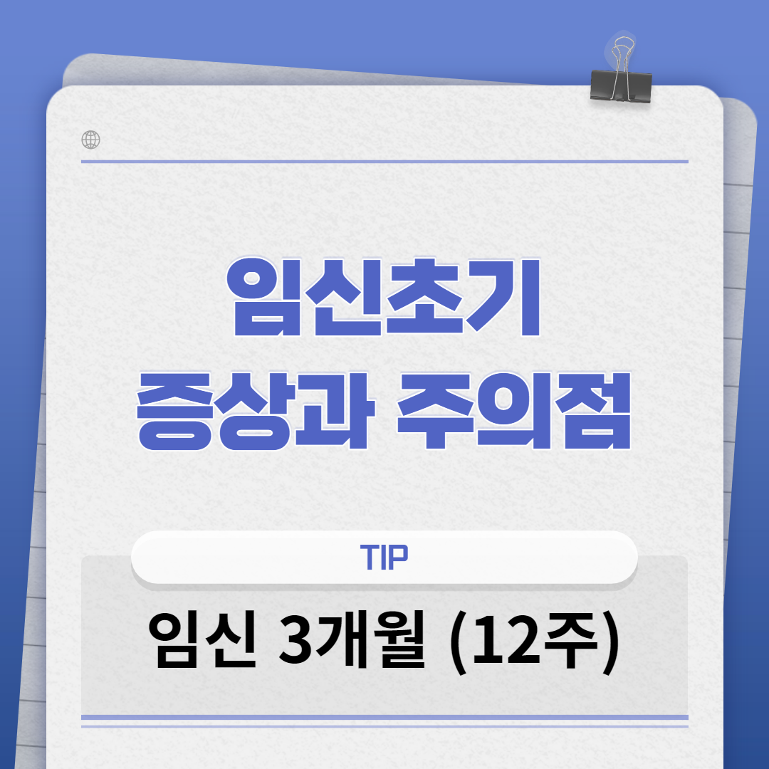 임신초기 증상과 주의점