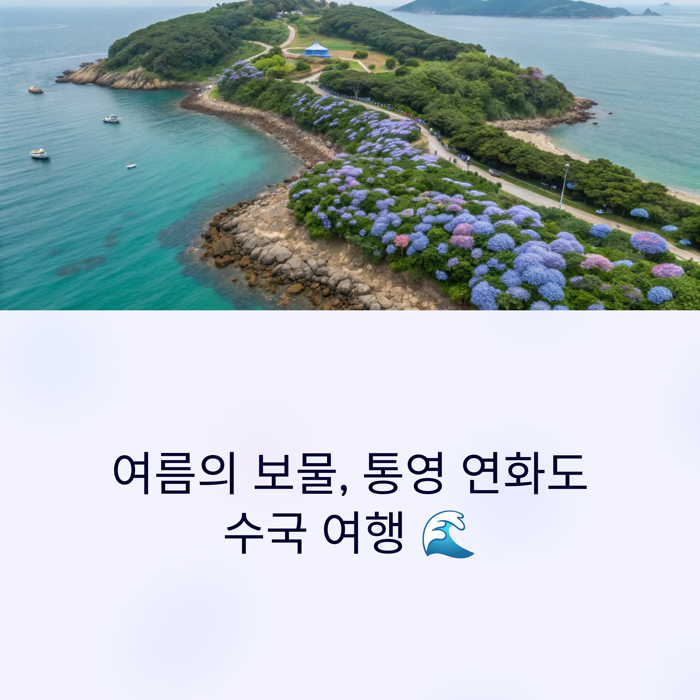 통영 연화도 수국여행 완벽 가이드