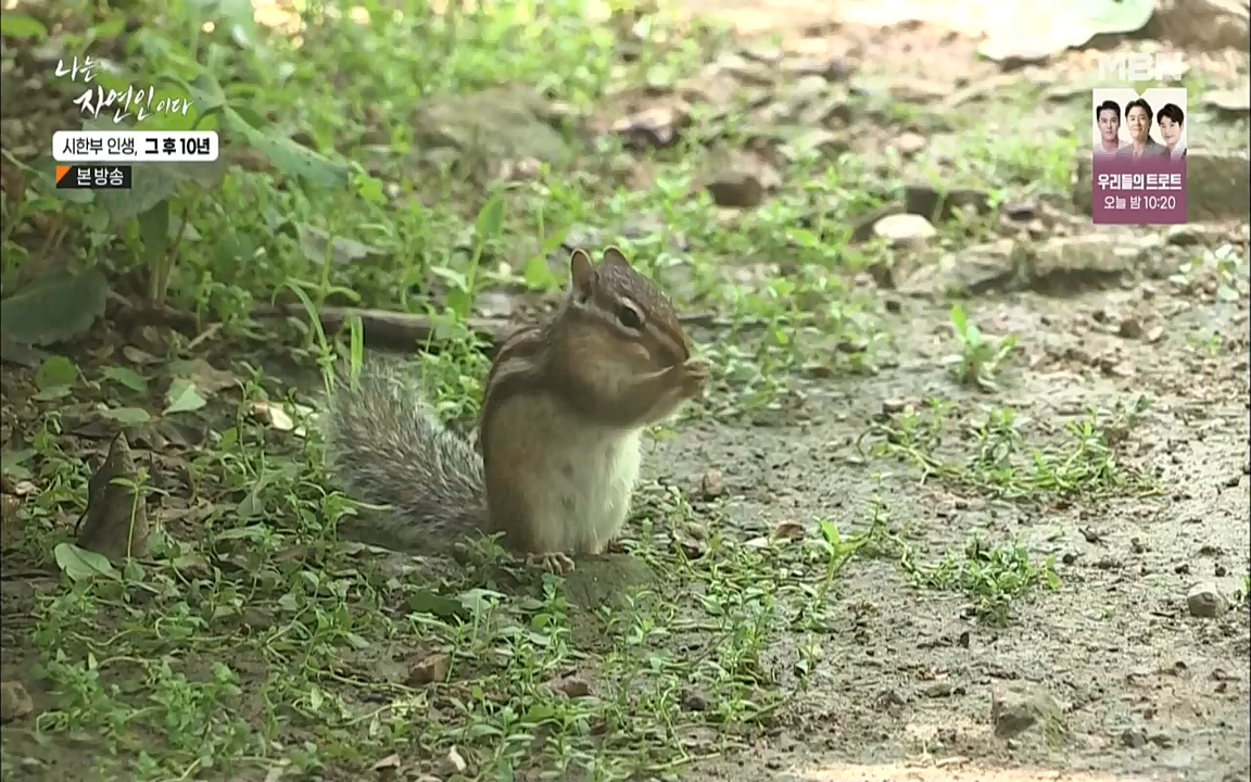 나는 자연인이다.E518.220908p.WANNA.mp4_20220908_200821.811.jpg