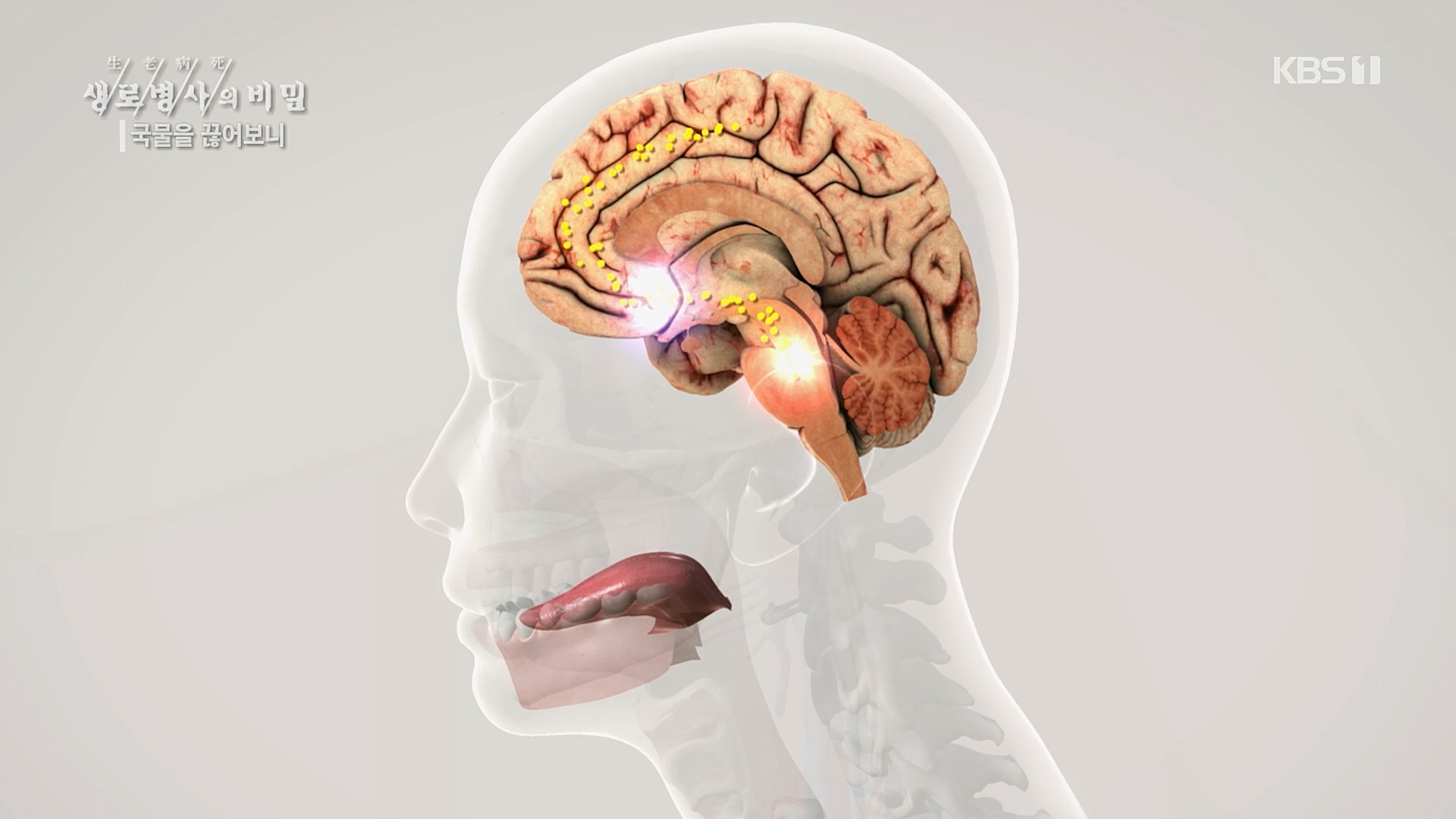 생로병사의 비밀.E854.230201p.H264-F1RST.mp4_20230212_140106.446.jpg