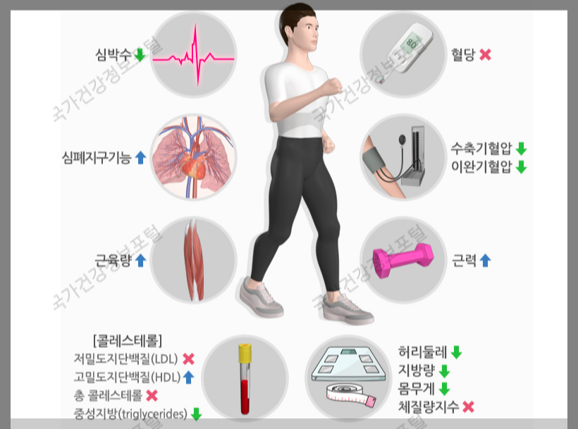  고혈압 환자 운동 법! 추운 겨울 유산소 운동