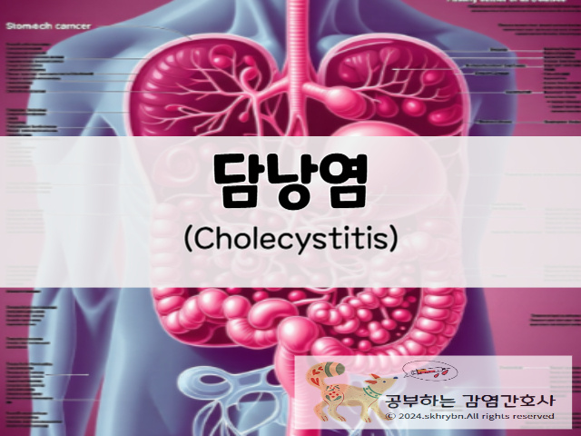 성인 간호_담낭염(cholecystitis)원인, 증상, 수술, 치료, 간호 진단