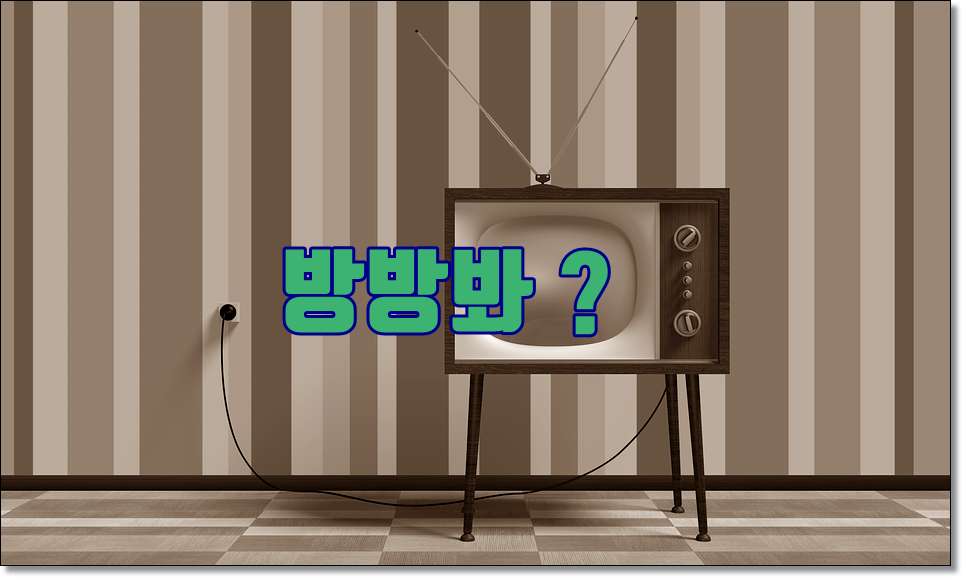  방방봐 채채바 뜻 알고 계신가요? 신조어 탐구
