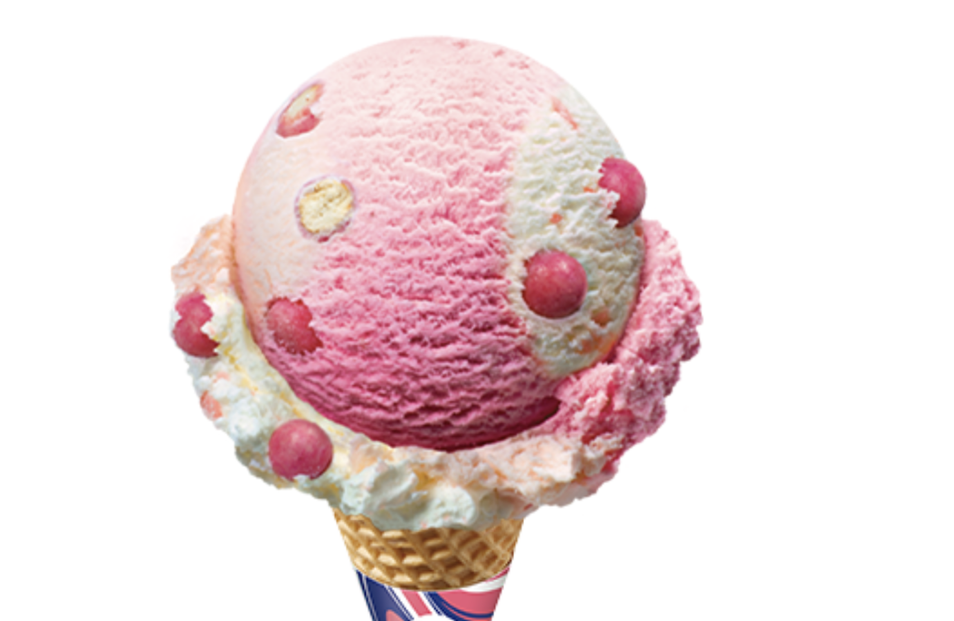 Baskin Robbins 모든 맛 저칼로리 요약 4