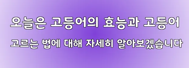  오늘은 고등어의 효능과 고등어 고르는 법에 대해 자세히 알아보겠습니다