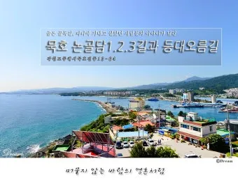 강원도 묵호 여행 묵호항 수산시장 등대 명소_2